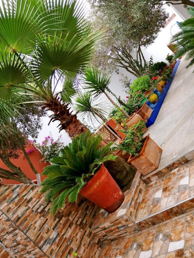 Dar Ezzitouna Apartment Oualidia Exterior photo